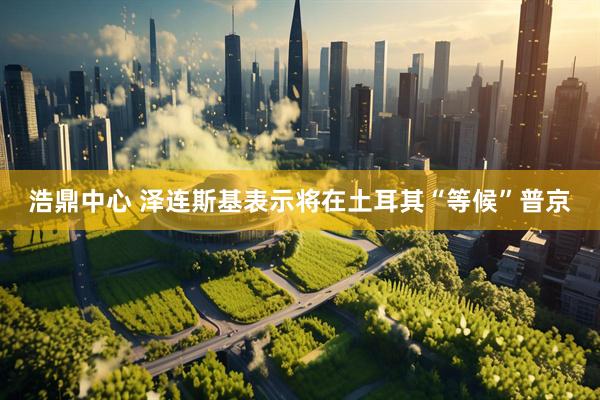 浩鼎中心 泽连斯基表示将在土耳其“等候”普京