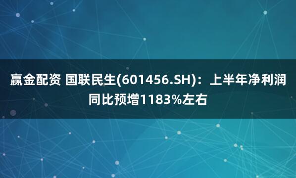 赢金配资 国联民生(601456.SH)：上半年净利润同比预增1183%左右
