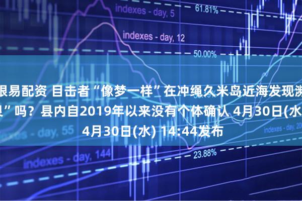 银易配资 目击者“像梦一样”在冲绳久米岛近海发现濒危物种“儒艮”吗？县内自2019年以来没有个体确认 4月30日(水) 14:44发布