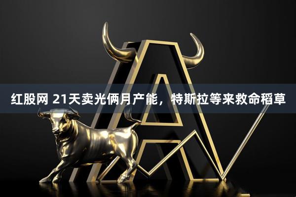 红股网 21天卖光俩月产能，特斯拉等来救命稻草