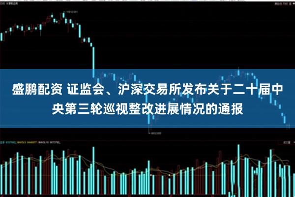 盛鹏配资 证监会、沪深交易所发布关于二十届中央第三轮巡视整改进展情况的通报