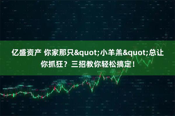 亿盛资产 你家那只"小羊羔"总让你抓狂？三招教你轻松搞定！