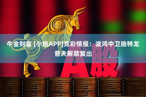 牛金财富 [小炮APP]竞彩情报：波鸿中卫施特龙普夫解禁复出